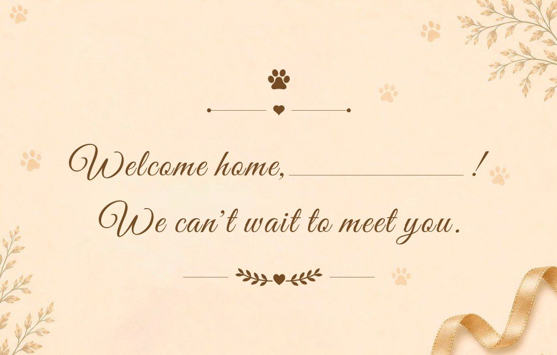 Selected Pawova welcome card design