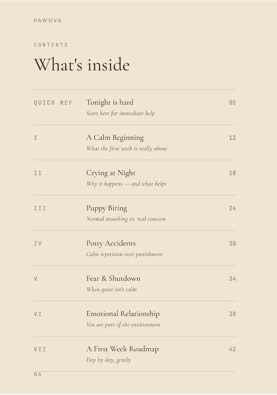 What's inside page preview