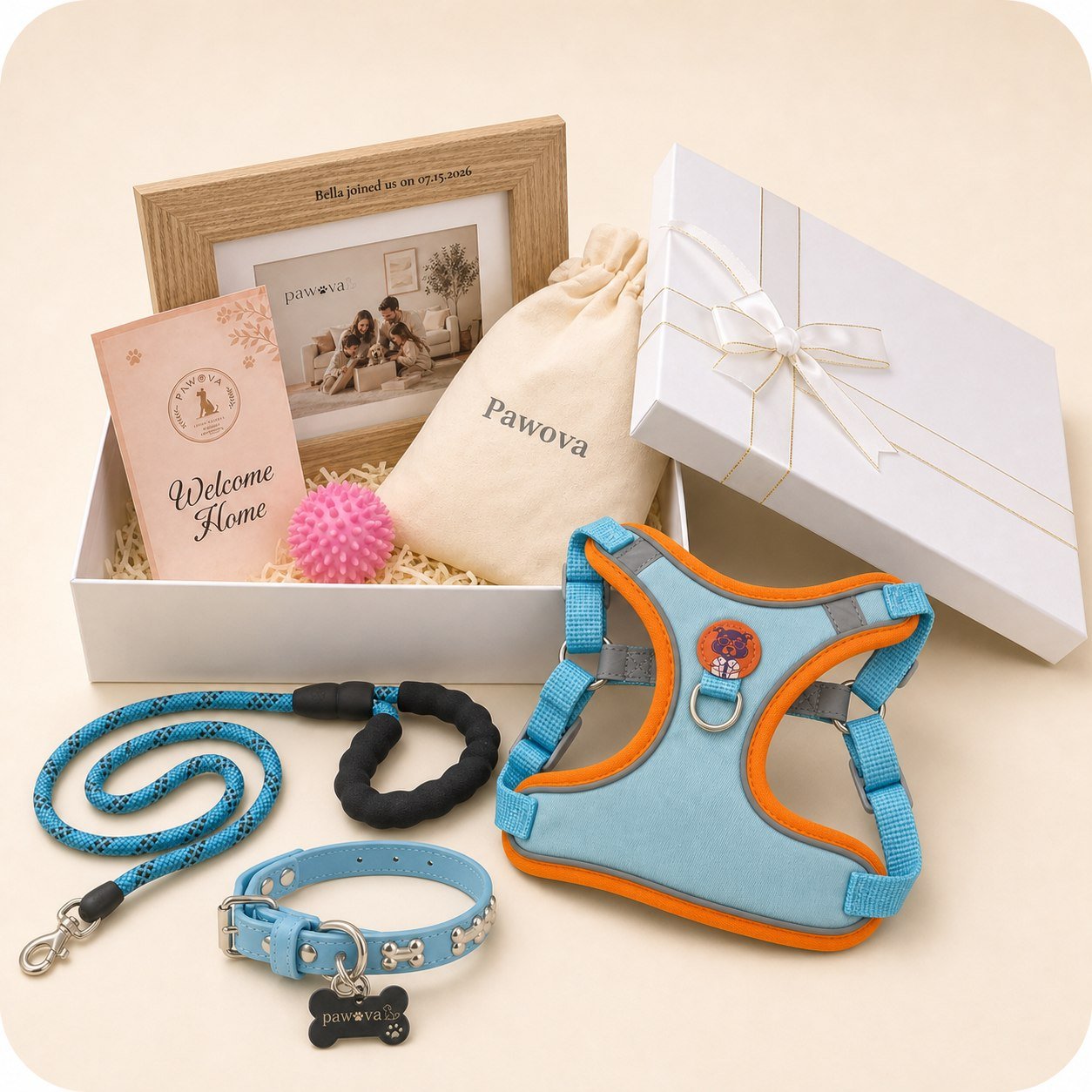 Everything included in the Pawova Welcome Kit Standard, laid out together: gift box, personalized frame, welcome card, drawstring pouch, spiky ball toy, leash, collar, ID tag, and harness